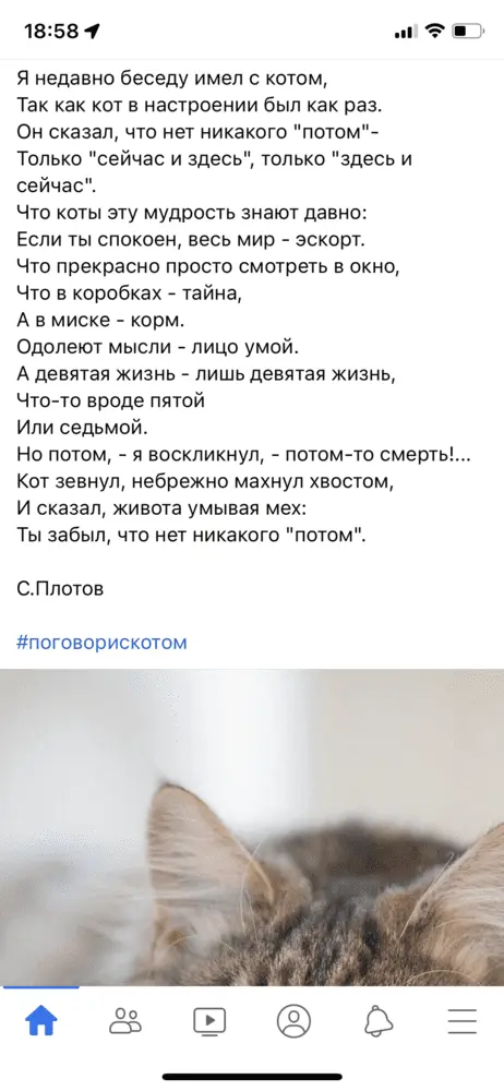 014BDAFE-D0ED-4F6E-9880-2CBEE51A4B12.webp