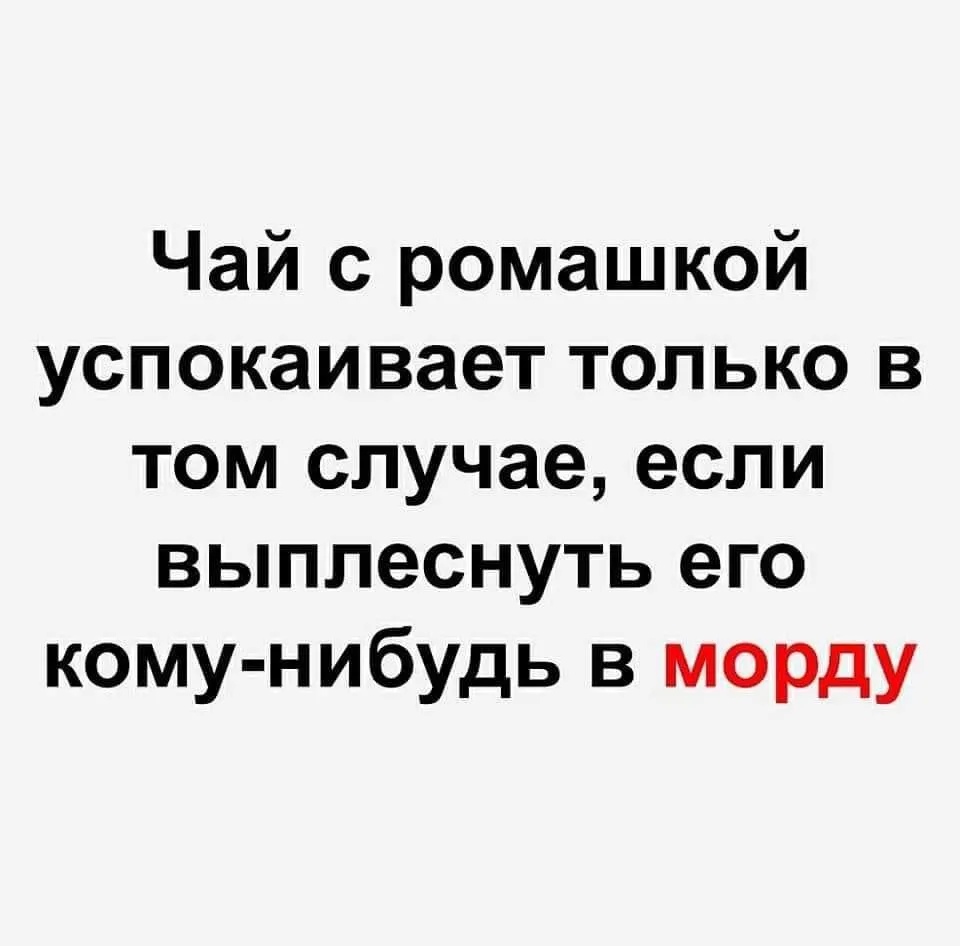 038549E4-571F-4A0C-BBDD-4CBB25C36067.webp