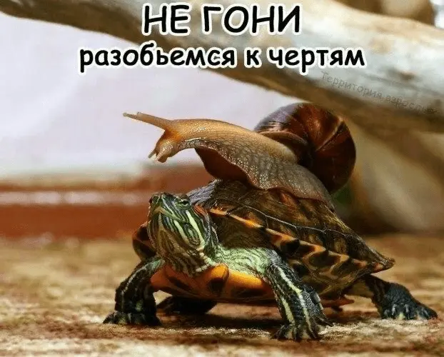 04-24_103651860-world74.spcs.bio.webp