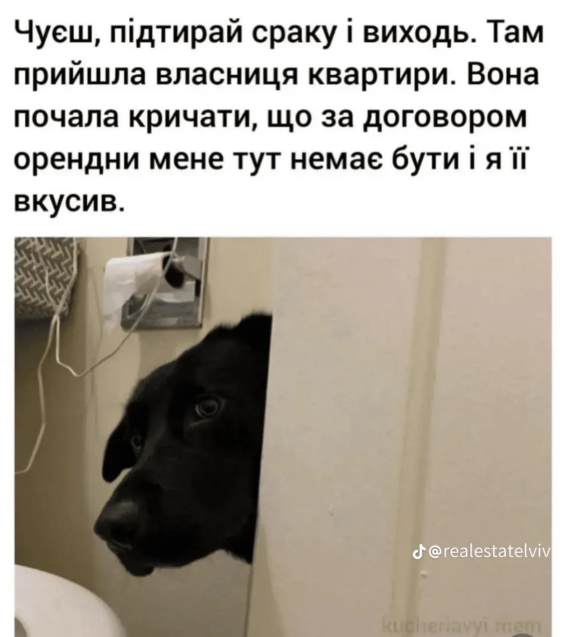051ba002f9b83bea3be98151e810741c.webp