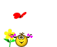 05565.gif
