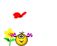 05565.gif