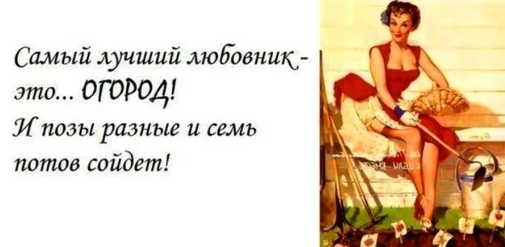 06815082.webp