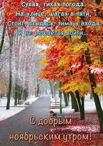 08f37e8c3b5883d4a04e1f160377b4d6.webp