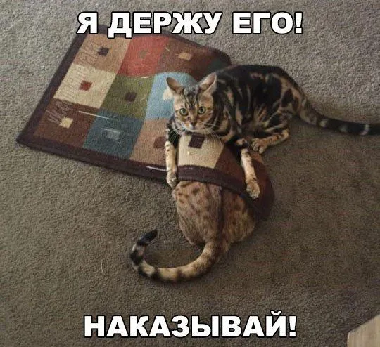 0_7aaf8a_2d88f72f_orig.webp