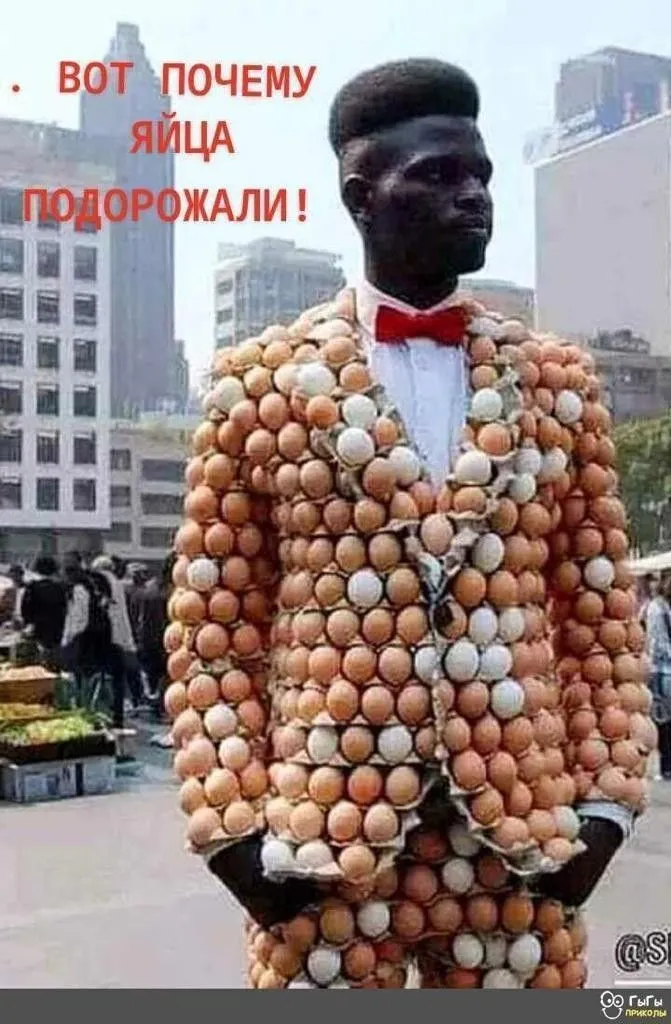 0cabdd54b6de79299bec331f3a8ddcbb.webp