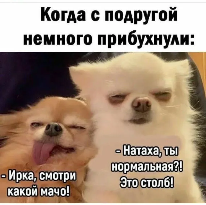 0fc4d3c080dff520656bba7f1789771d.webp