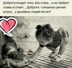 0fdc26abee56a92f23eebe9d394625c8.webp