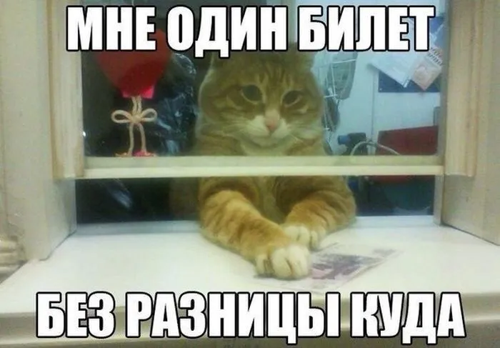1-37.webp