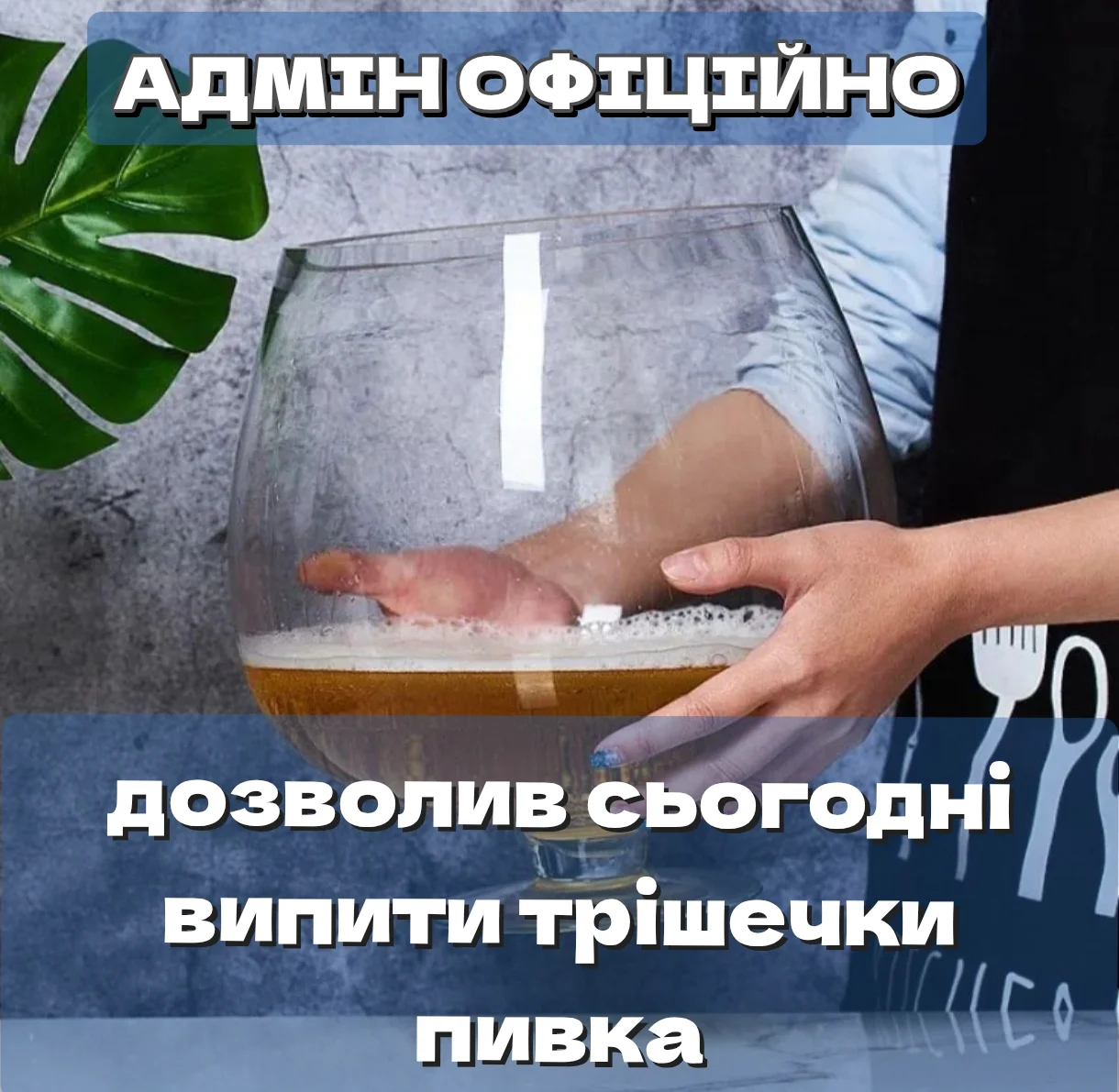 1000085950.webp