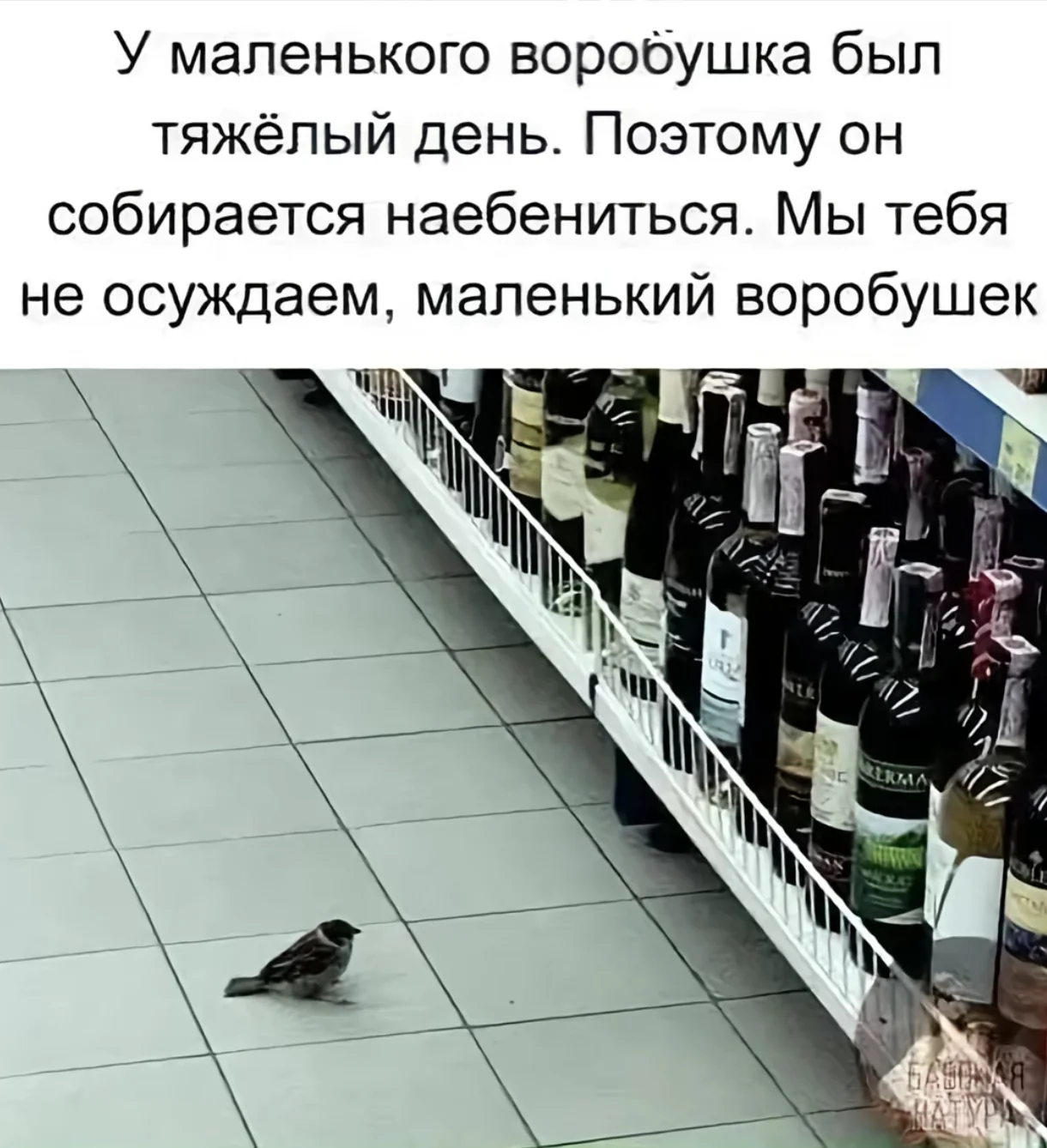 1000087045.webp