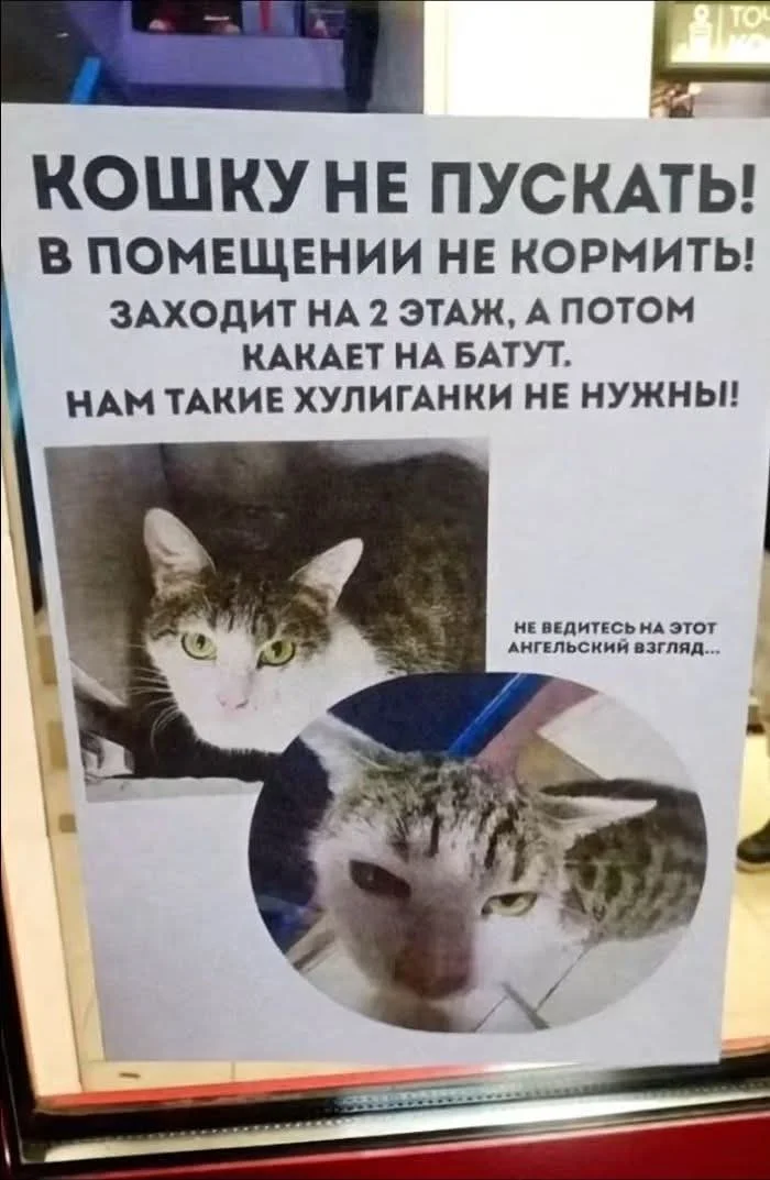 1000087429.webp