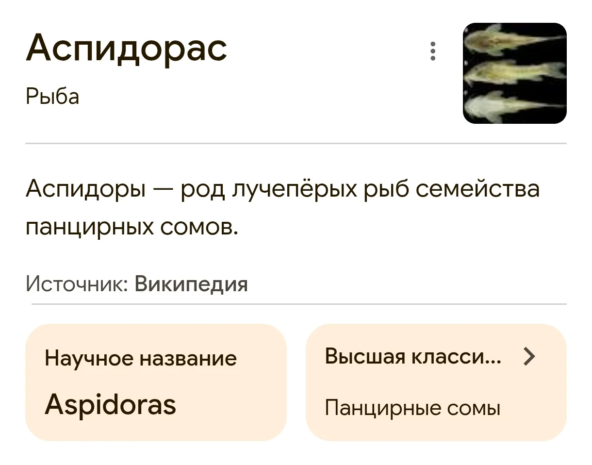 1000087612.webp