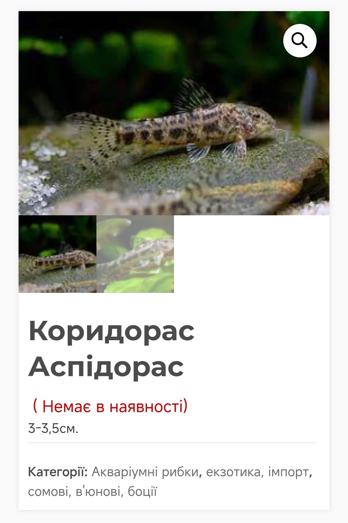 1000087614.webp
