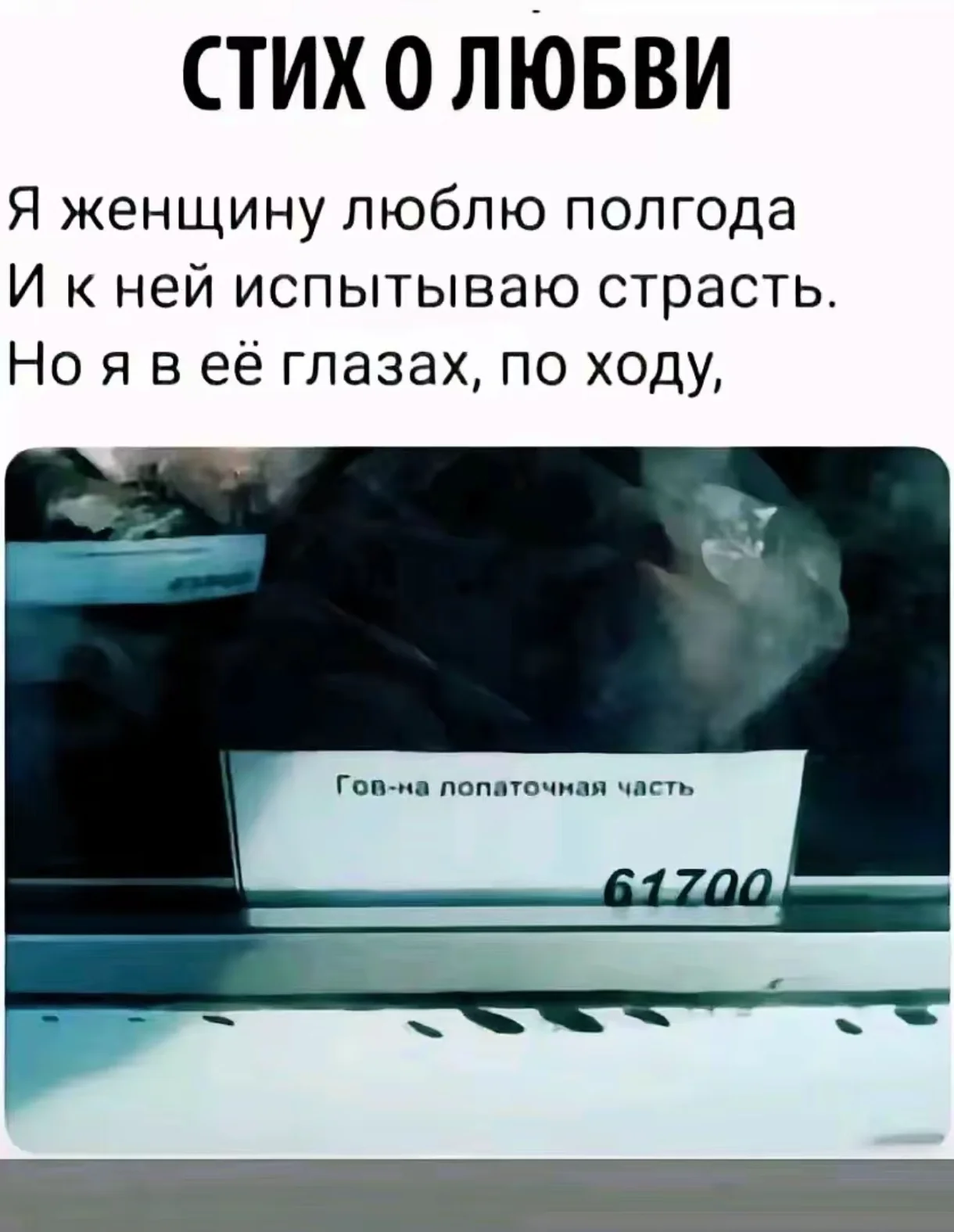 1000087645.webp
