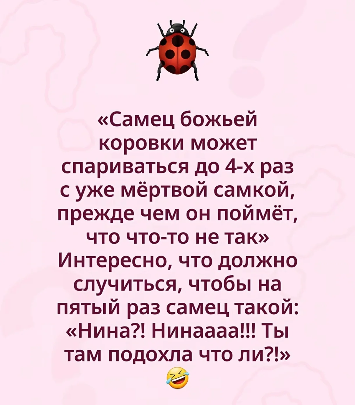 1000087787.webp
