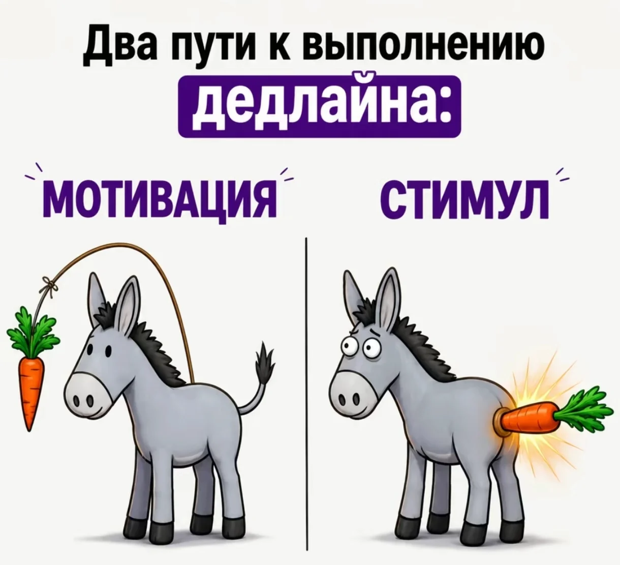1000087818.webp