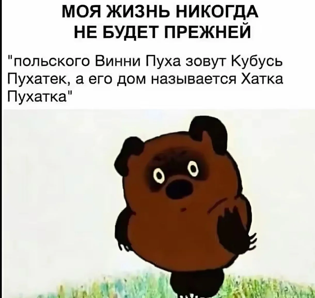 1000087838.webp