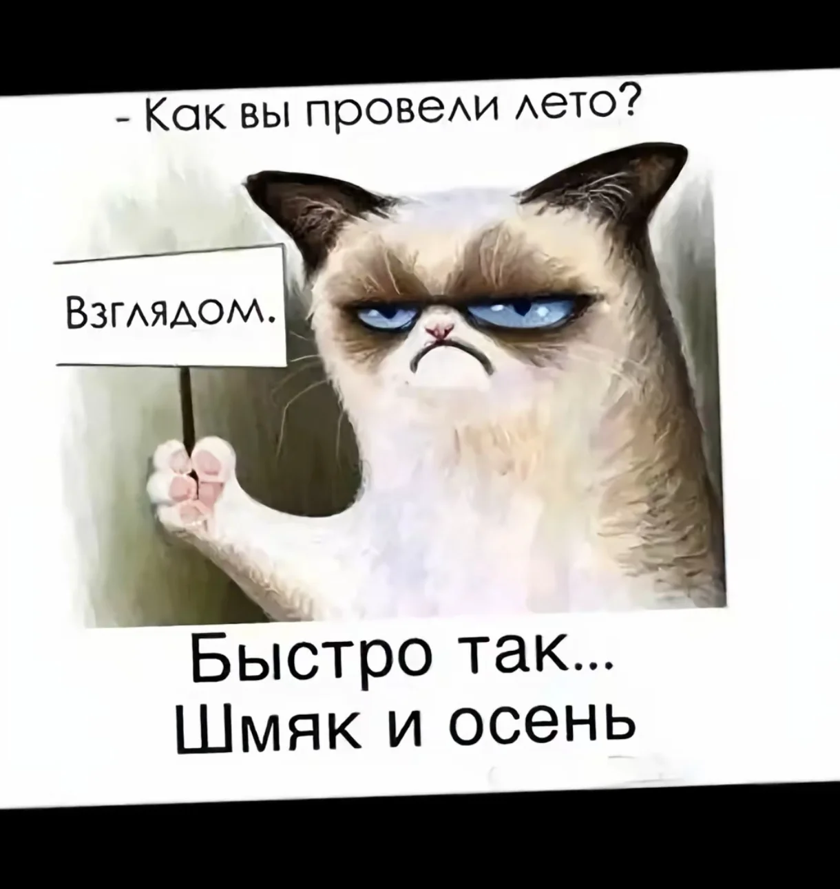 1000088375.webp