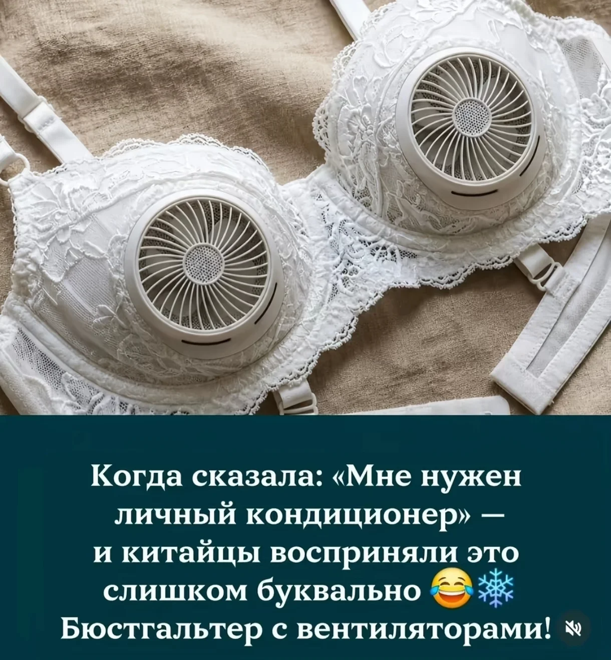 1000088487.webp