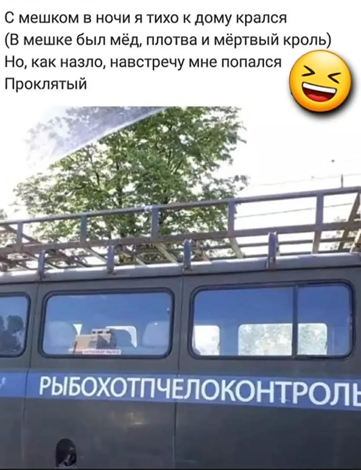 1000089950.webp