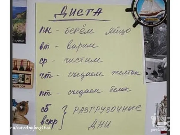 1027607.webp