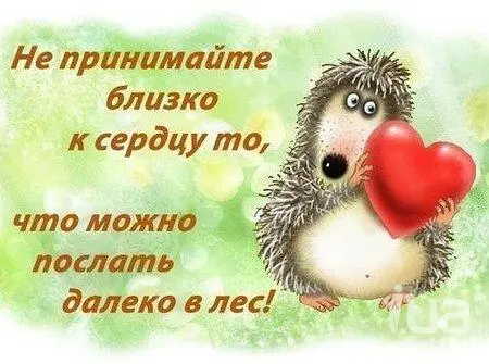 1044737.webp