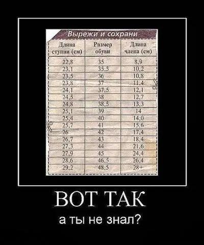 104864997_efun_ru_380.jpg