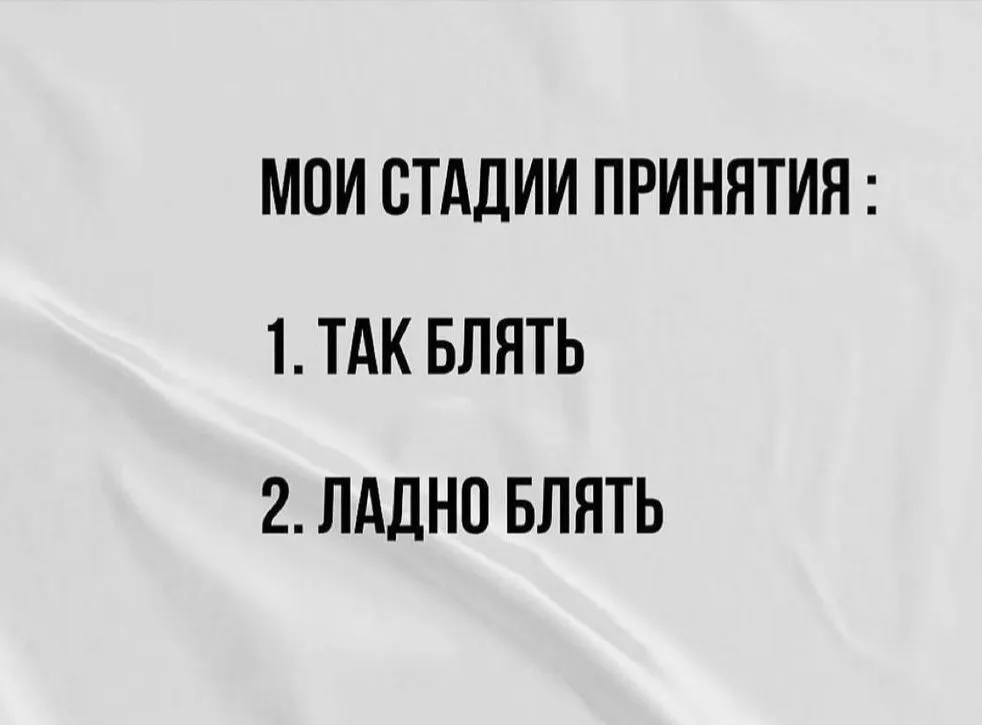 10800FA9-1550-492D-8F03-B6D42CF0BE16.webp