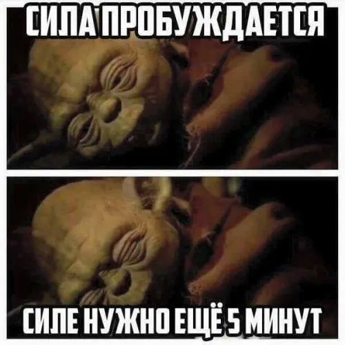112.webp