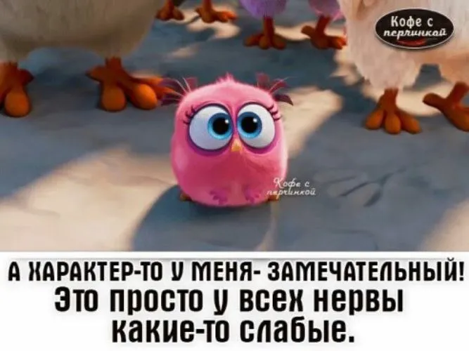 1175296_760x500.webp