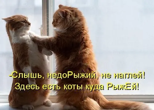 1303961240_1035.webp
