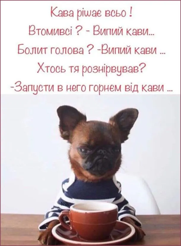 137c5a88a5558b71d1f6dd3170fa8bca.jpg