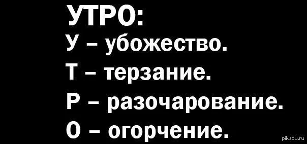 1383665144_170785559.webp