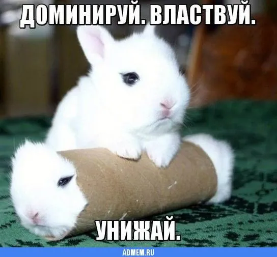 1390989680.webp