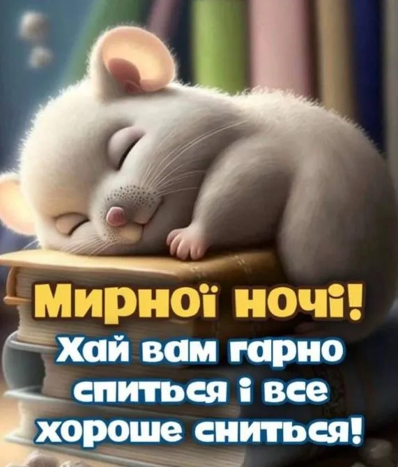 1415-myrnoi-nochi-khay-vam-harno-spyt-sya-i-vse-khoroshe-snyt-sya.webp