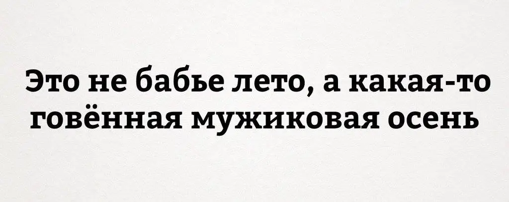 14481735_1098496920228319_4997326023493719470_o.webp