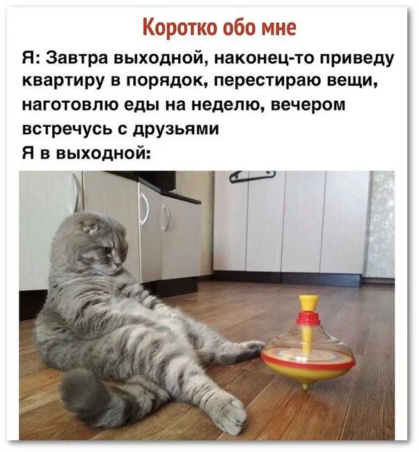 14c9b18313ebb07a5b4f3f1bbf1ca0d4.webp