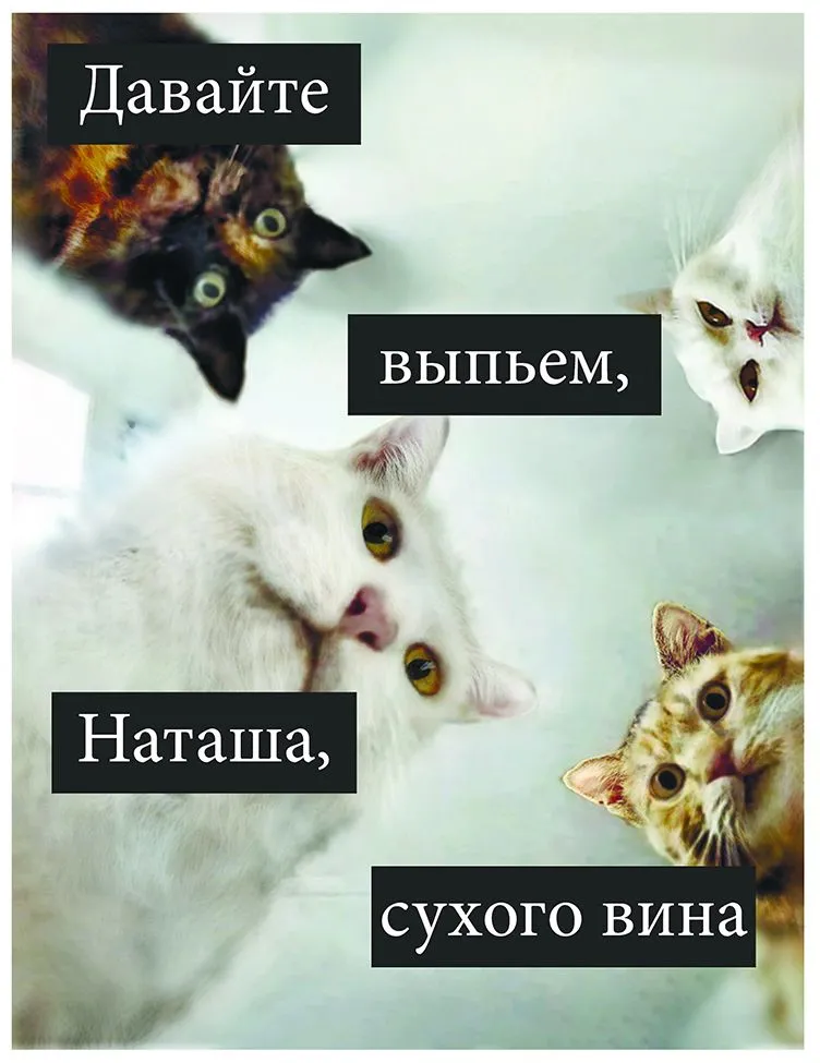 14DD3F64-C4E9-4C57-8F63-B12F89C618EE.webp