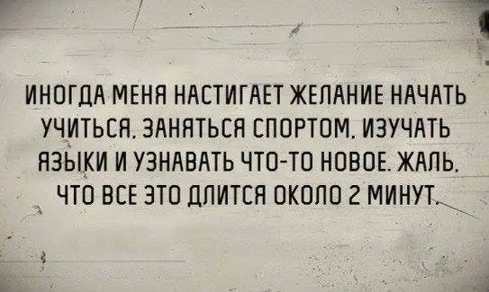 15181352_1153213821423295_4897010051110219015_n.webp