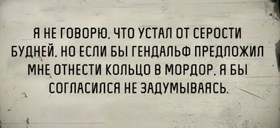 15390721_1165180603559950_8150922014277835508_n.webp