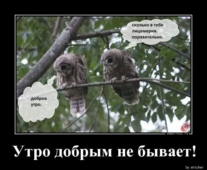1542813093_Utro-dobrym-ne-byvae_demotions.ru.webp