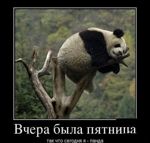 1544693501_38.webp