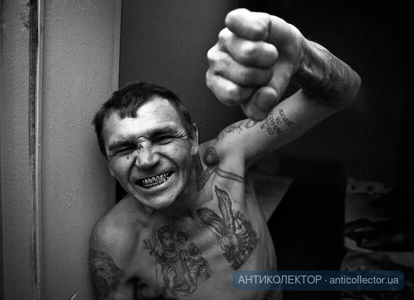 Коллектор зек