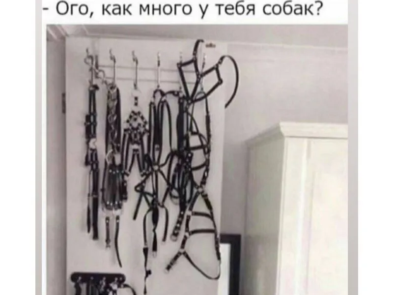 1558070152.webp