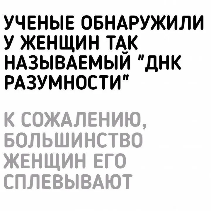 155929721313580195.webp