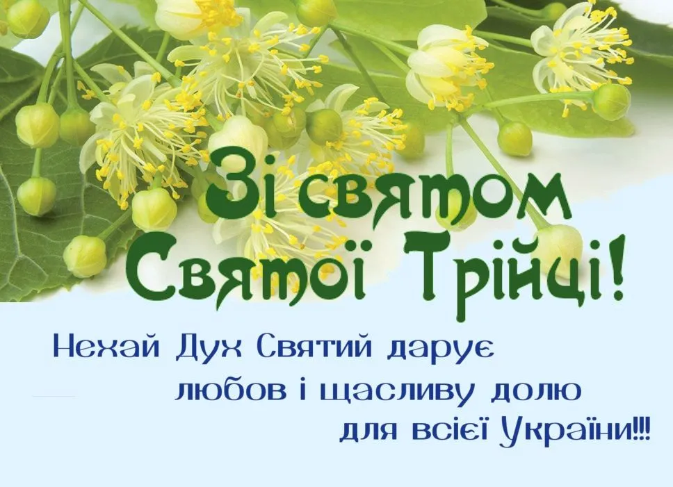 1560527373-5559.webp