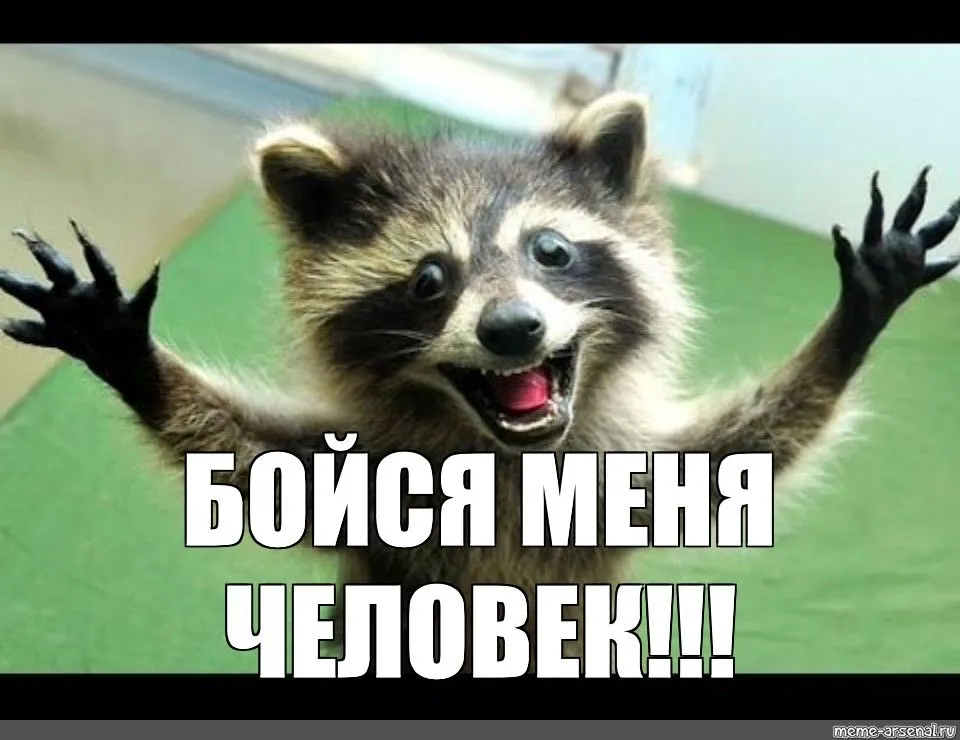 156085d86c707dd9b9e9a48e4cf15c94.webp