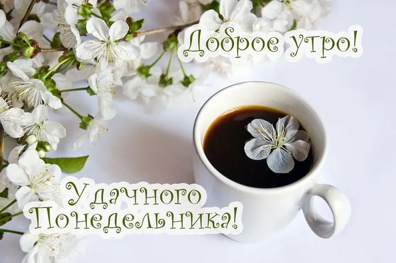 1561474659_1.webp