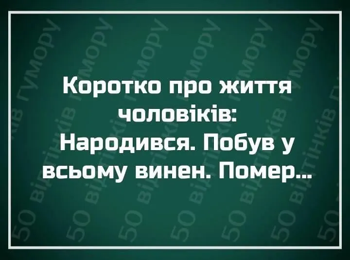 156484361_4091604574194211_3764052070187333463_n.webp